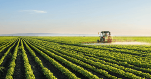  Face à la Sécheresse, TOUTAGRI Accompagne les Agriculteurs avec des Solutions Nutritionnelles Adaptées