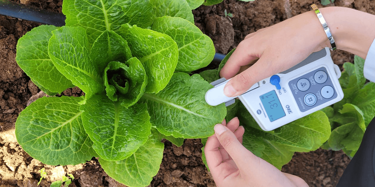 L&rsquo;Innovation au Cœur de la Stratégie TOUTAGRI : Biostimulants et Solutions Durables